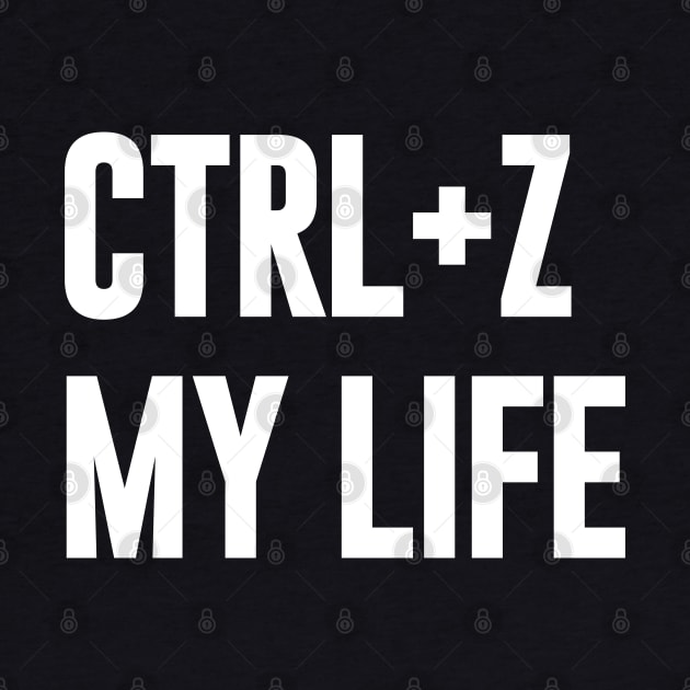 Ctrl+ Z My Life by NomiCrafts